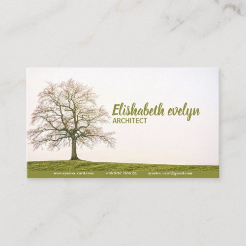 tree nature landscape individually business card