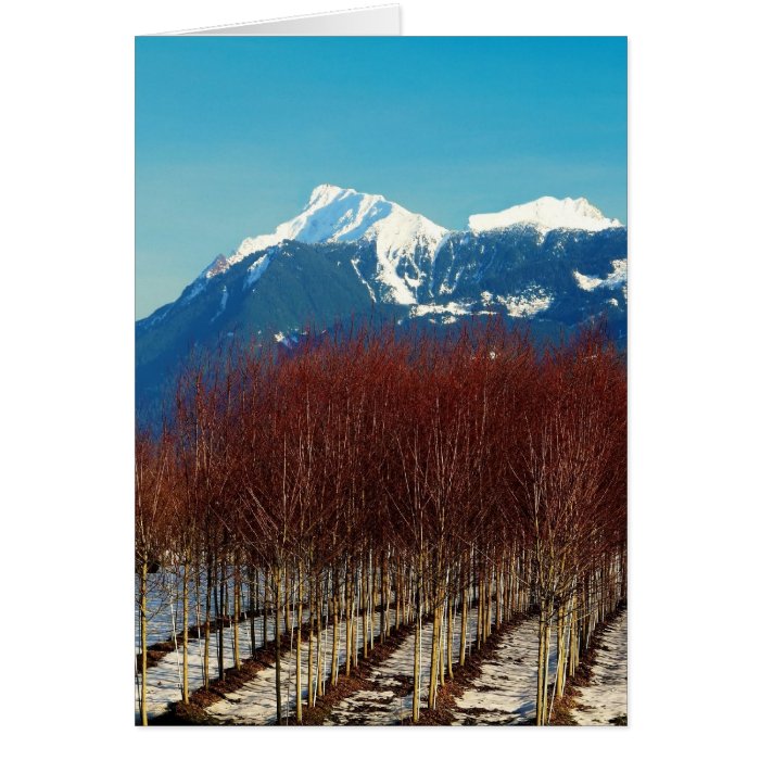 Tree Nursery and Snow Covered Mountains Greeting Card