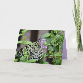 Tree Nymph Card