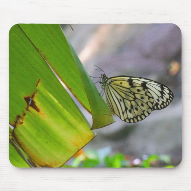 Tree Nymph Rice Paper Butterfly Mousepad (Front)
