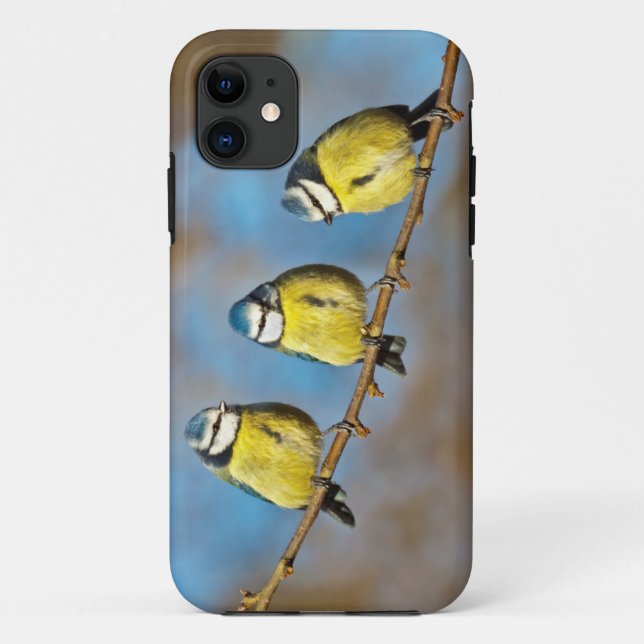 Tree-o iPhone 5 Case (Back)
