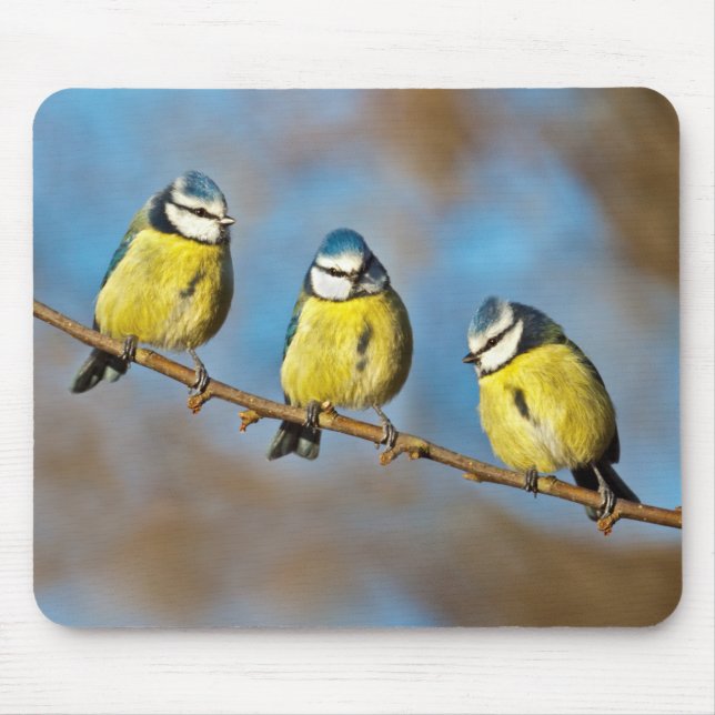 Tree-o Mousemat Mouse Pad (Front)