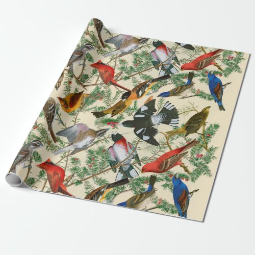 Tree of Grosbeak Birds giftwrap Wrapping Paper