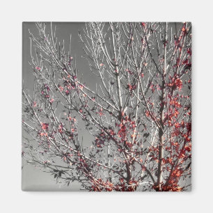 Tree of hope magnet