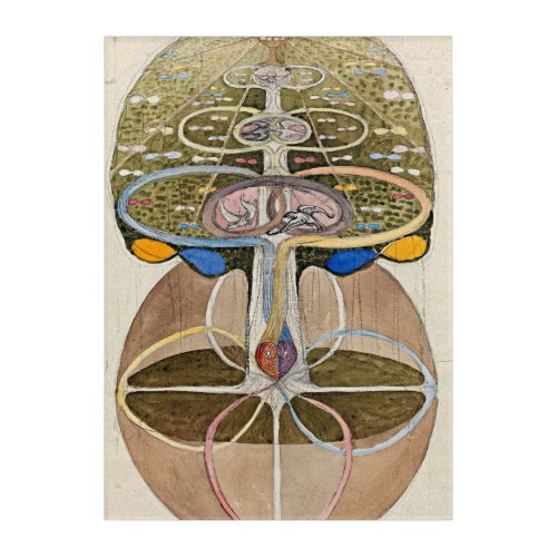 Tree of Knowledge No1 1915 by Hilma af Klint Acrylic Print