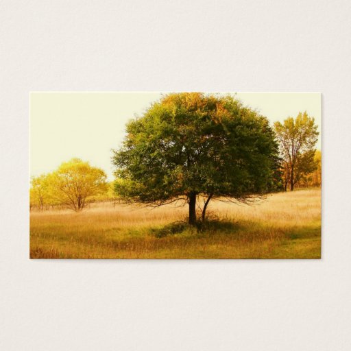 Customizable tree of life business card