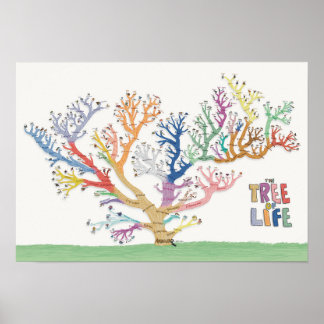 Tree of Life (19x13) Poster
