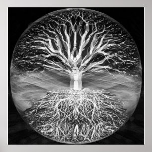 Tree of life black and white serenity poster