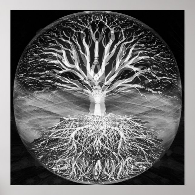 Tree of life black and white serenity poster (Front)