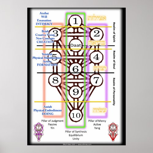 Tree of Life Diagram  All Sizes Poster