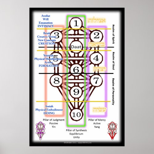 Tree of Life Diagram  All Sizes Poster