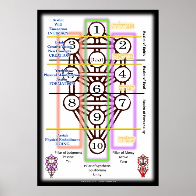 Tree of Life Diagram | All Sizes Poster (Front)
