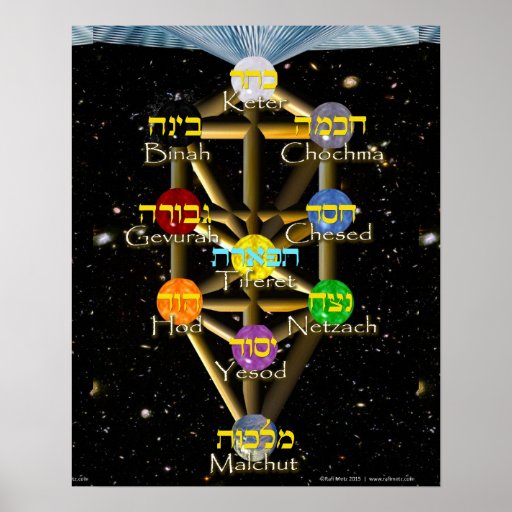 Tree of Life diagram with Hebrew and English Poster | Zazzle