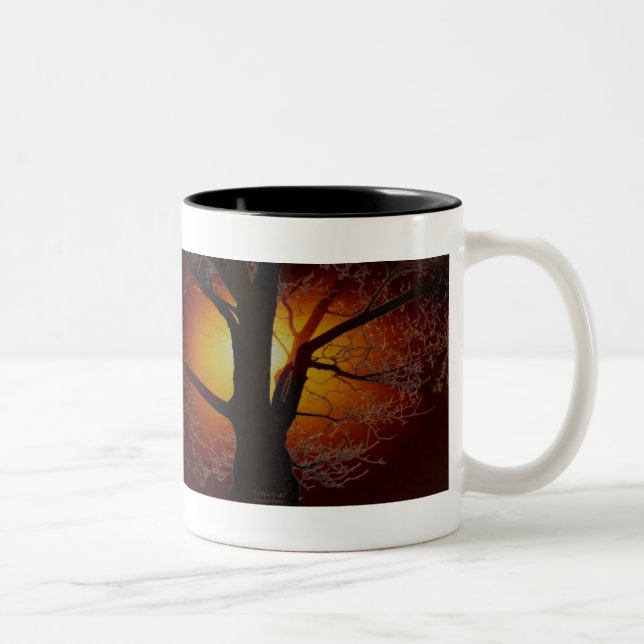 TREE OF LIFE Earth Day Gift Series Two-Tone Coffee Mug (Right)