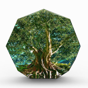 Tree of Life Green Acrylic Award