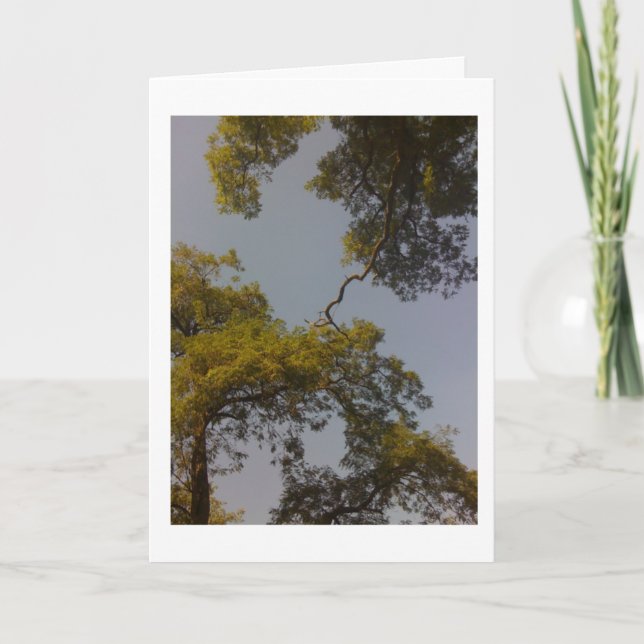 Tree Of Life Lives Long & Prospers Card (Front)