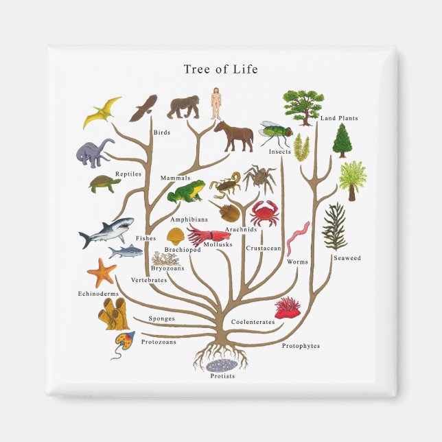 Tree Of Life Magnet (Front)