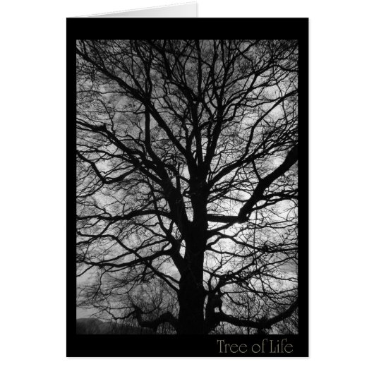 Tree of Life - not only for tree huggers Cards (Front)
