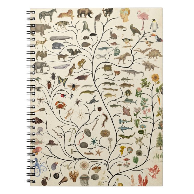Tree of Life Notebook (Front)