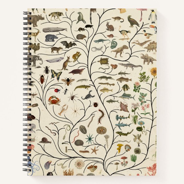 Tree of Life Notebook (Front)