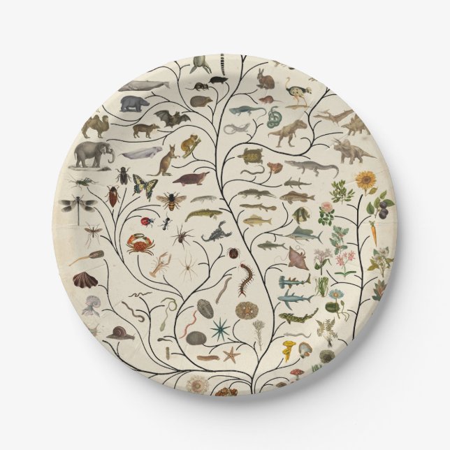 Tree of Life Paper Plates (Front)