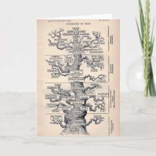 Tree Of Life / Pedigree Of Man Card