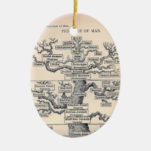 Tree Of Life / Pedigree Of Man Ceramic Ornament