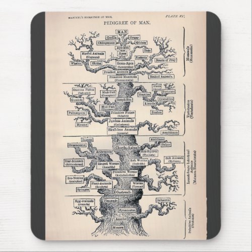 Tree Of Life  Pedigree Of Man Mouse Pad