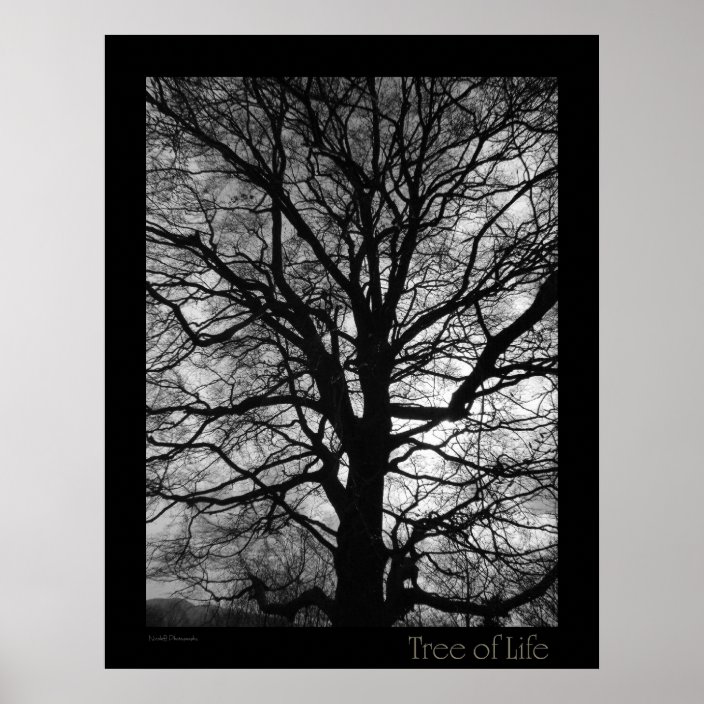 Tree of Life Poster