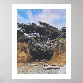 Tree of Life Poster