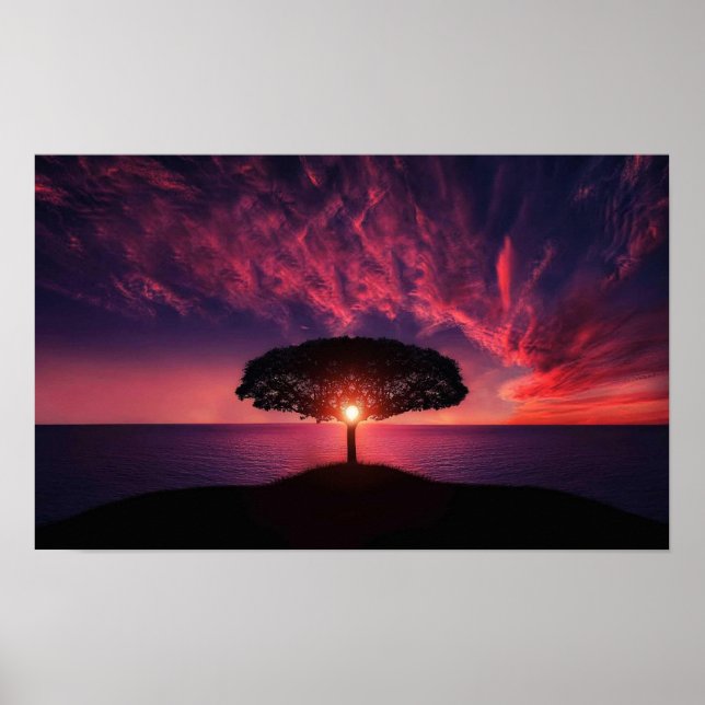 Tree of Life  Poster (Front)