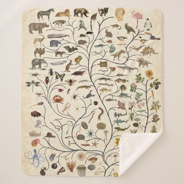 Tree of Life Sherpa Blanket (Front)