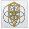 Tree of Life SOL 1