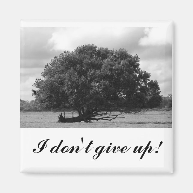 Tree of Life Square Magnet (Front)