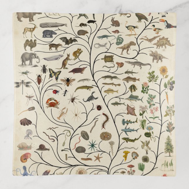 Tree of Life Trinket Tray (Front)