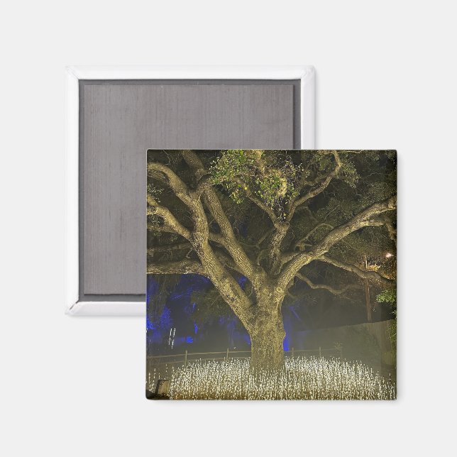 Tree of Lights Magnet (Front/Back)