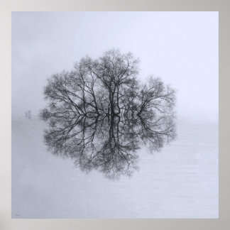 Tree of Reflection Art Poster Print
