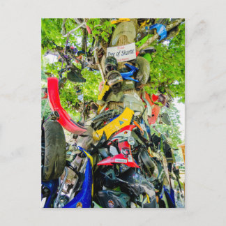 tree of shame tail of the dragon postcard