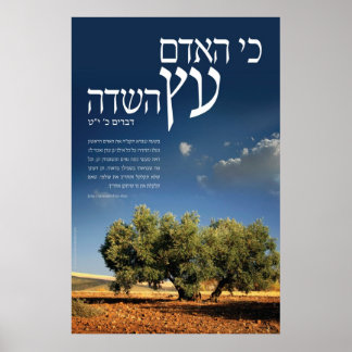 Tree of the Field Poster