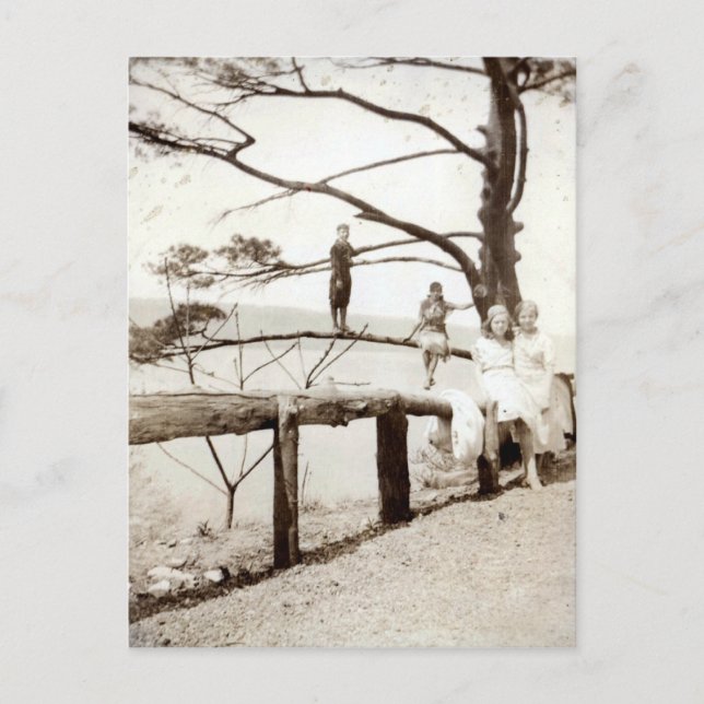 Tree Of The Past Postcard (Front)