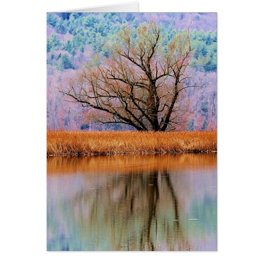Tree of Transition Cards (Front)