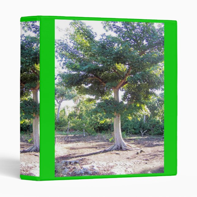 Tree of Wisdom-binder 3 Ring Binder (Front/Spine)
