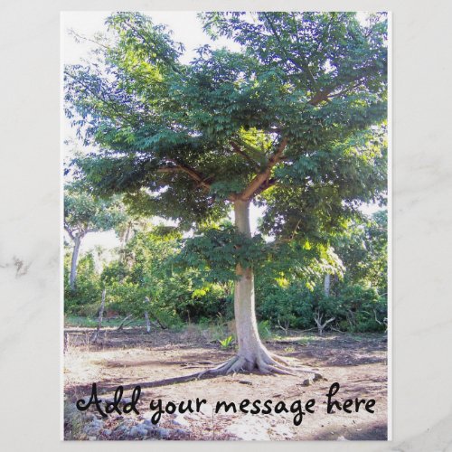 Tree of Wisdom_flyer Flyer