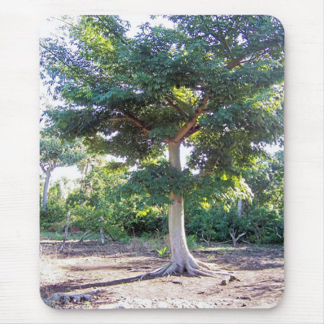 Tree of Wisdom-mousepad Mouse Pad (Front)
