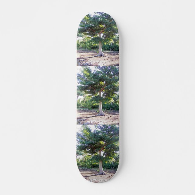 Tree of Wisdom-skateboard Skateboard Deck (Front)