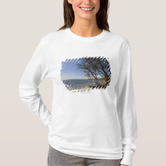 Tree On A Beach Along The Coastline T-Shirt
