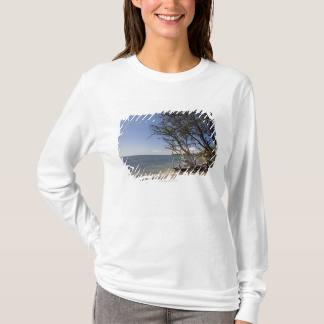 Tree On A Beach Along The Coastline T-Shirt (Front)