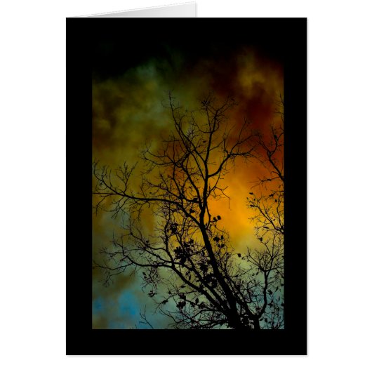 tree on a stormy morning cards (Front)