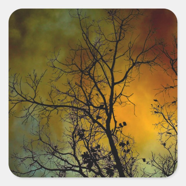 tree on a stormy morning square sticker (Front)