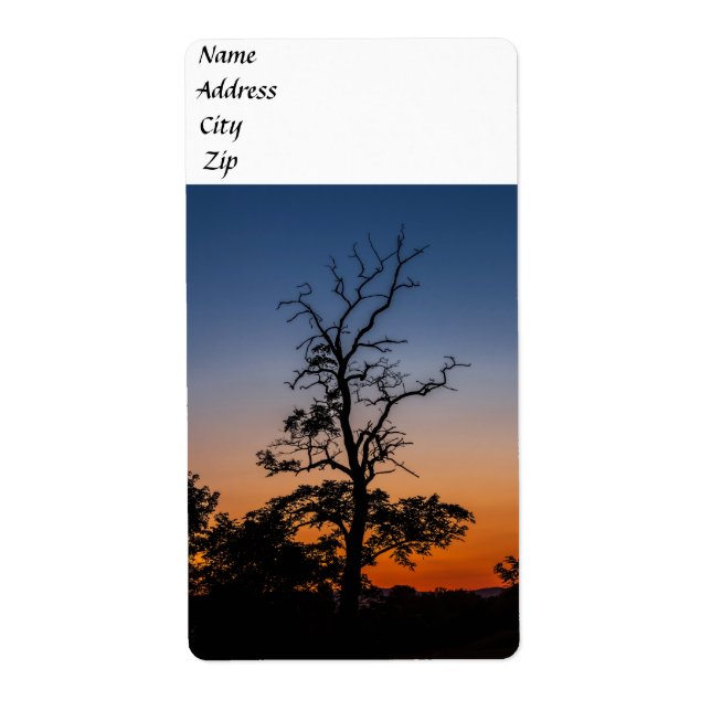 Tree on a sunset background label (Front)